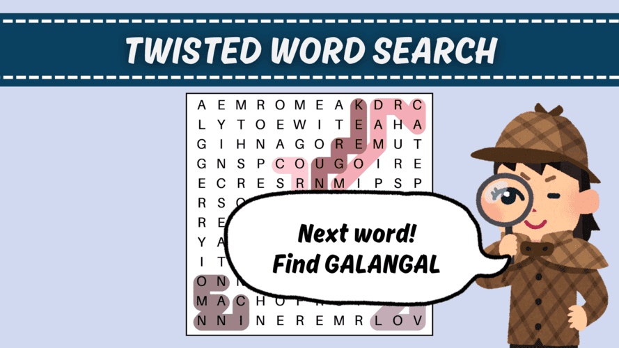 word search 17